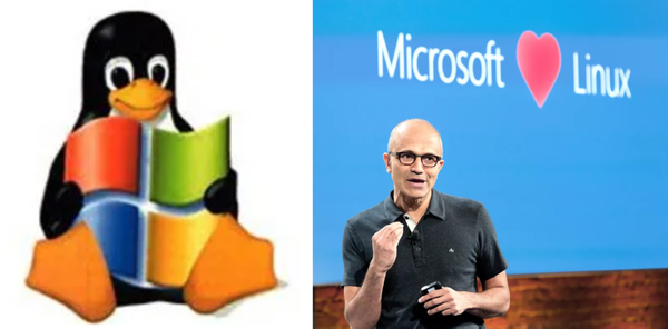 Adventures in Windows Subsystem Linux 2